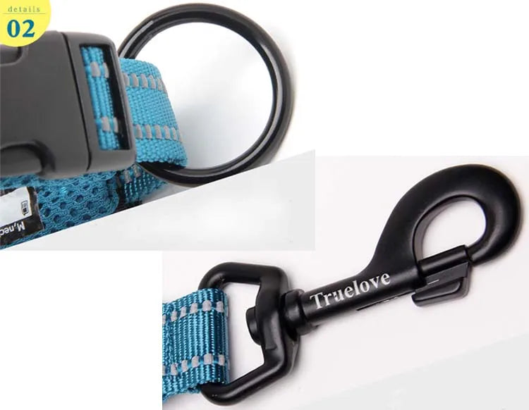 Truelove Easy On Pet Dog Collar And Leash Set