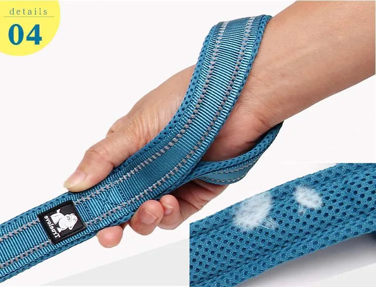 Truelove Easy On Pet Dog Collar And Leash Set
