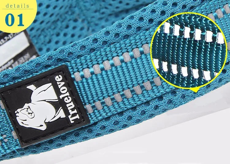 Truelove Reflective, Adjustable Mesh Padded Dog Collar