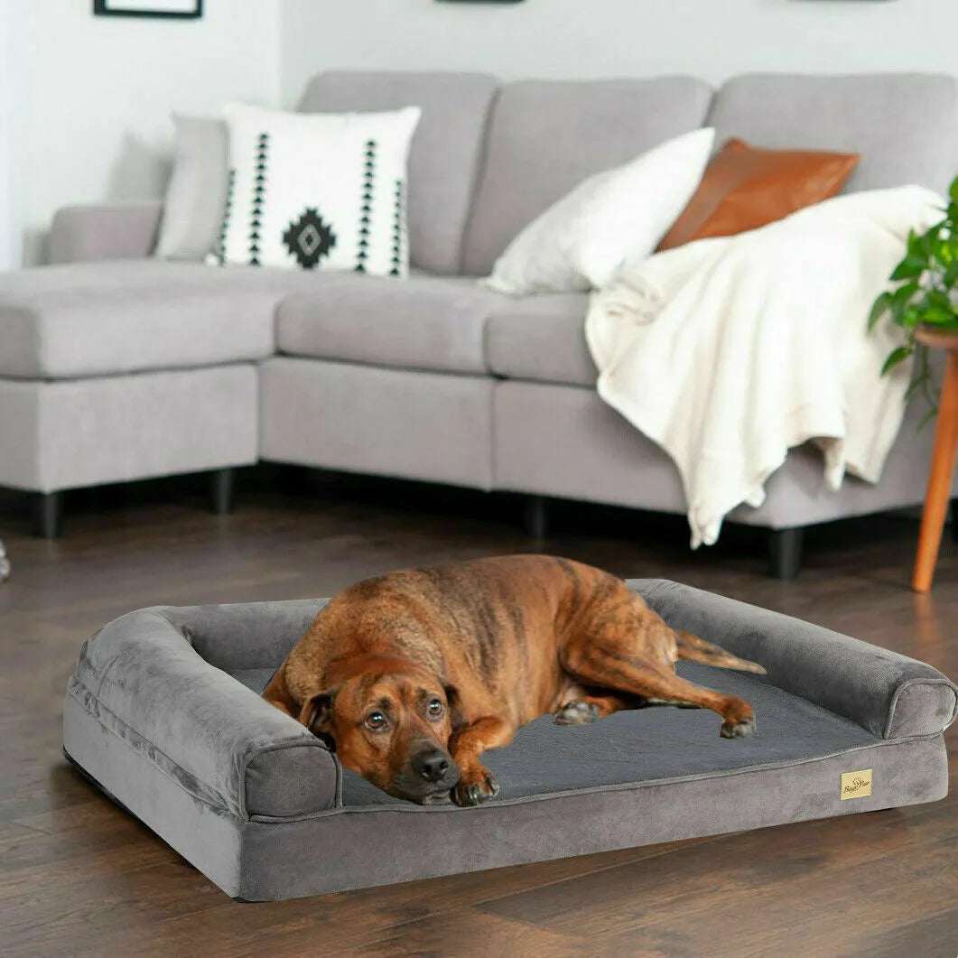 Bingo Paw Orthopedic Dog Bed with Bolster