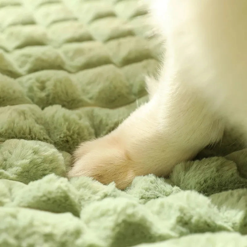Winter Warm Luxury Dog Beds