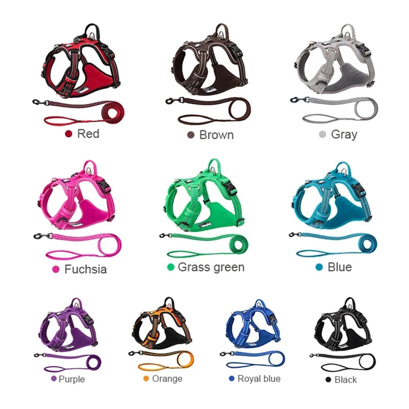 Truelove Pet Harness + Leash Set