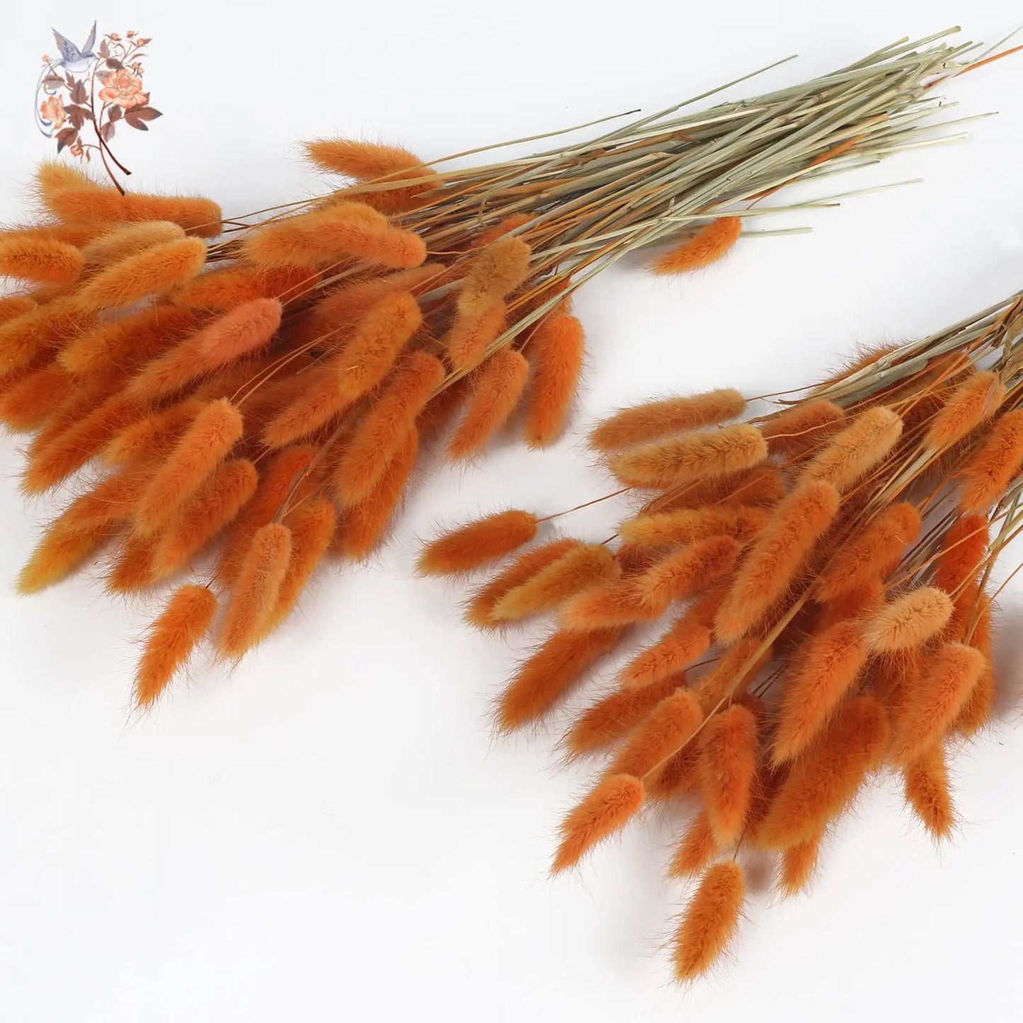 120Pcs Dried Rabbit Tail
