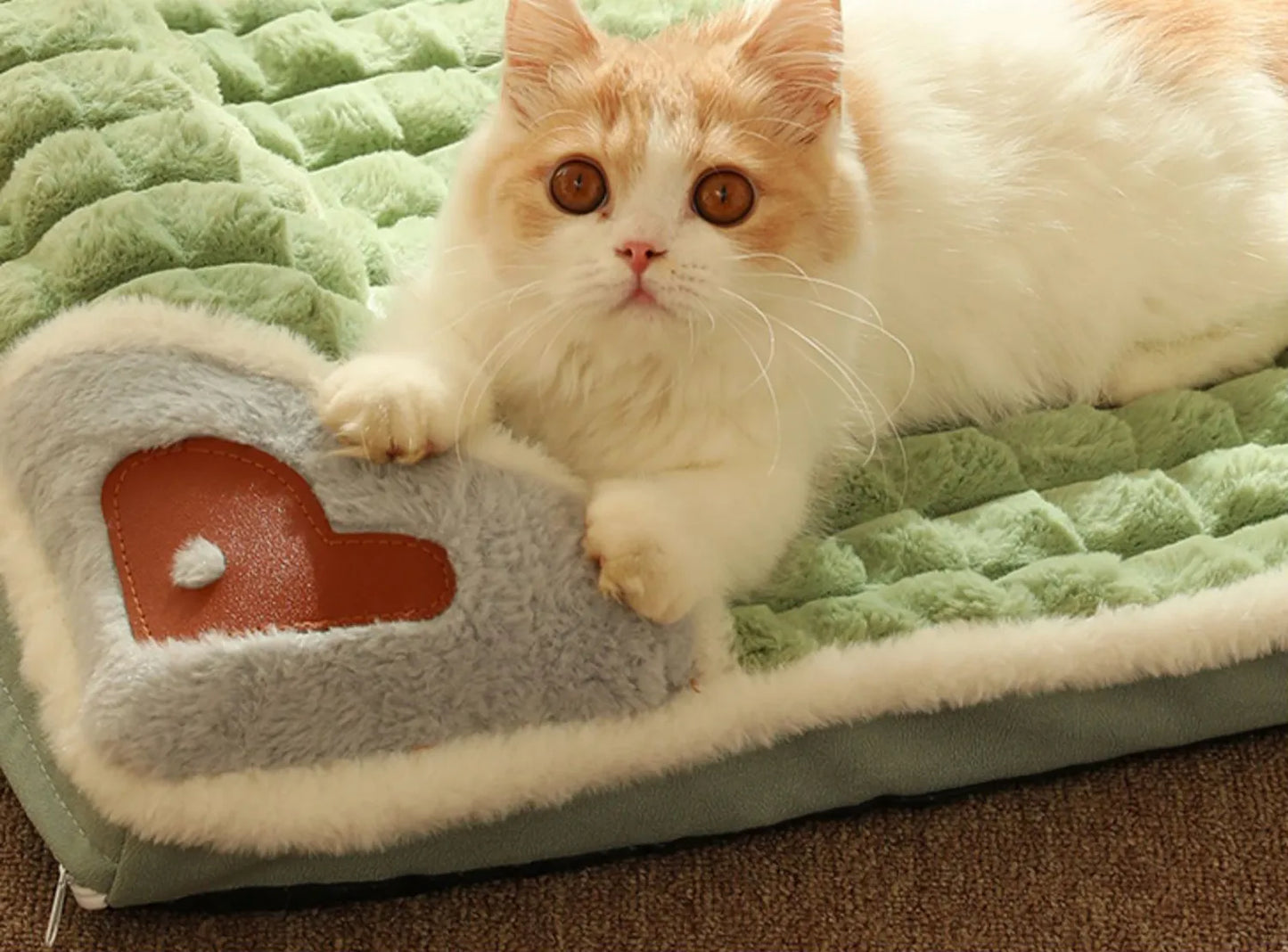 Winter Warm Luxury Dog Beds