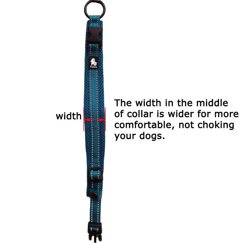 Truelove Easy On Pet Dog Collar And Leash Set