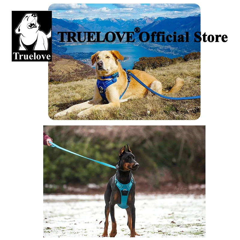 Truelove Pet Harness + Leash Set