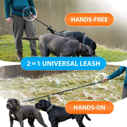 Sparkly Pets Hands Free Dual Dog Leash