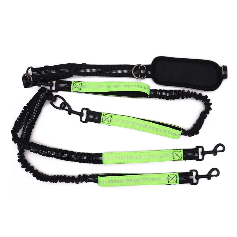 Sparkly Pets Hands Free Dual Dog Leash